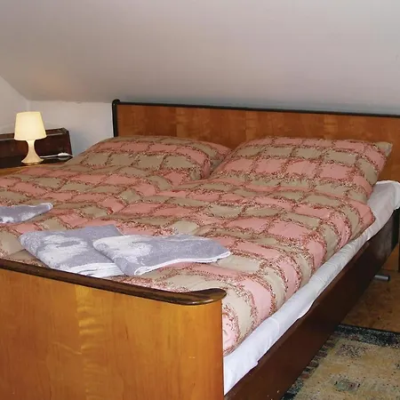 Holiday U Ronova With Fireplace Ix Vakantiehuis
