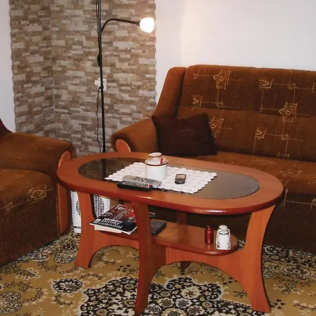 Holiday U Ronova With Fireplace Ix